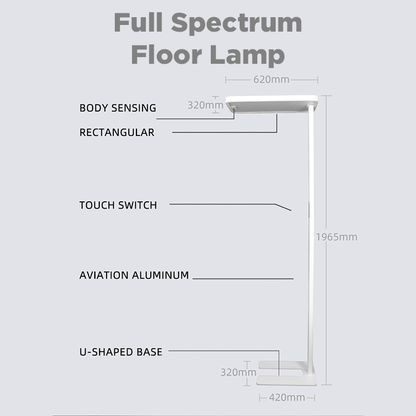 G - Full Spectrum Floor Lamp with Eye Protection Technology